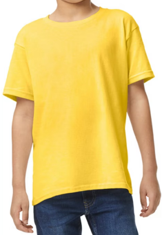Custom T-Shirt (Youth)
